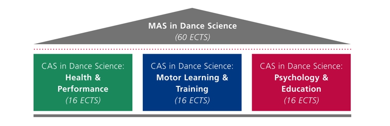 Übersicht über den Aufbau des MAS Dance Science Studiengangs