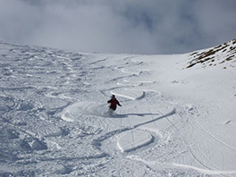 Jemand fährt im Tiefschnee Ski.