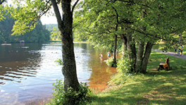 Swimming in the nearby lake.