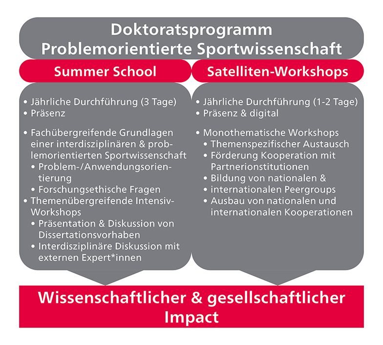 Grafische Übersicht über den Aufbau des Doktoratsstudiums.