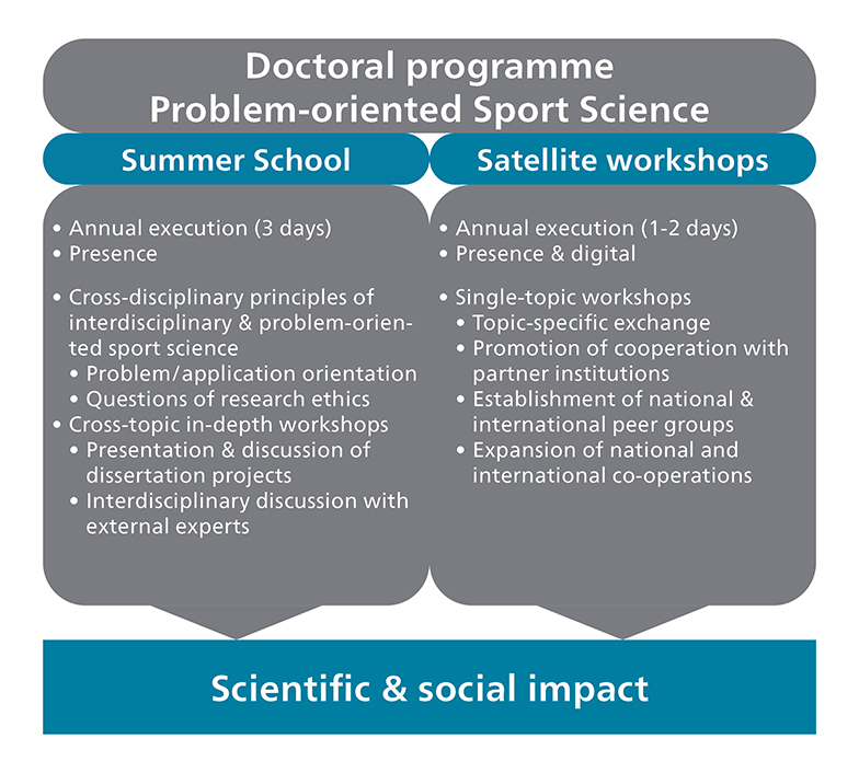 Graphical illustration of the structure of the doctoral programme